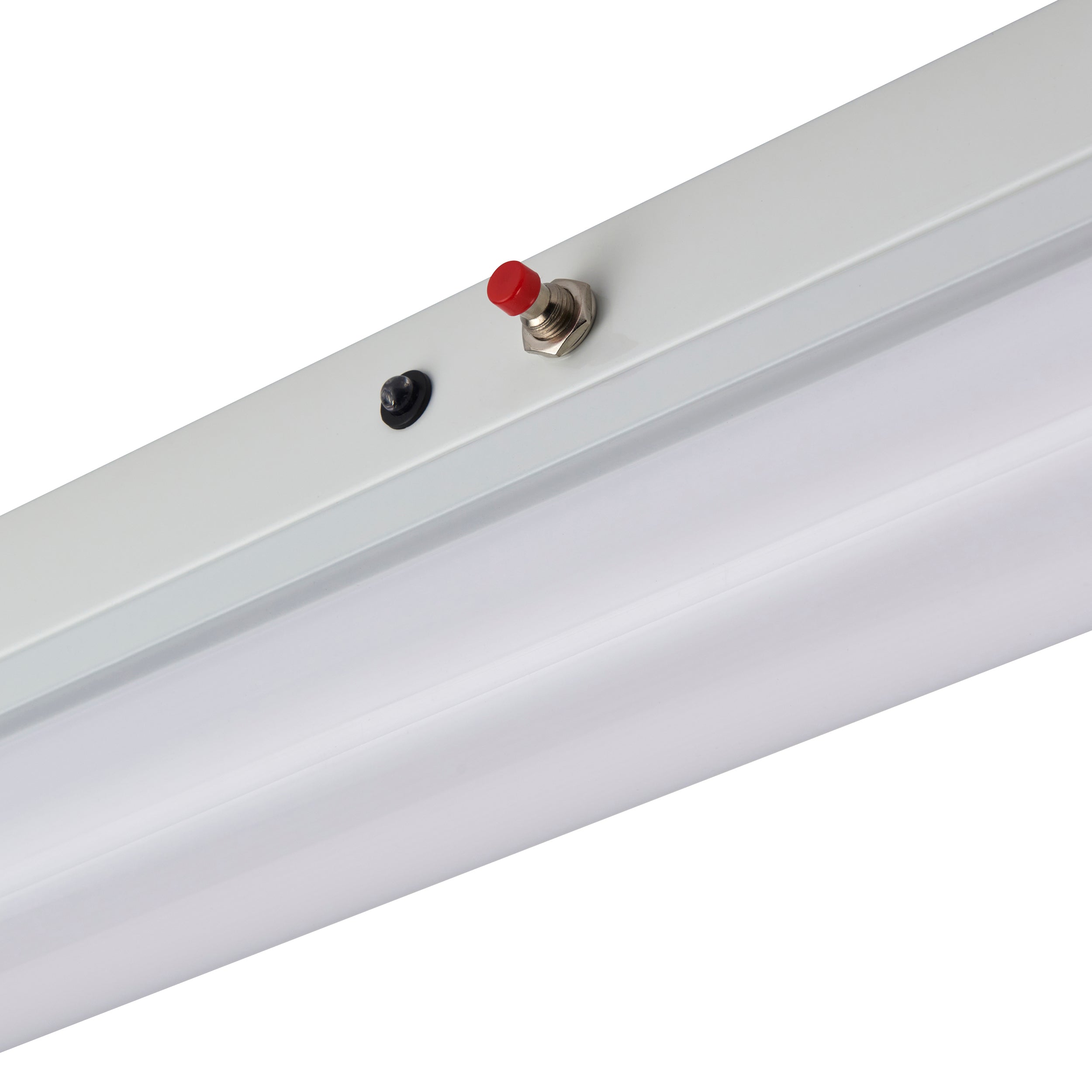 RularPLUS 4FT EM 20W
